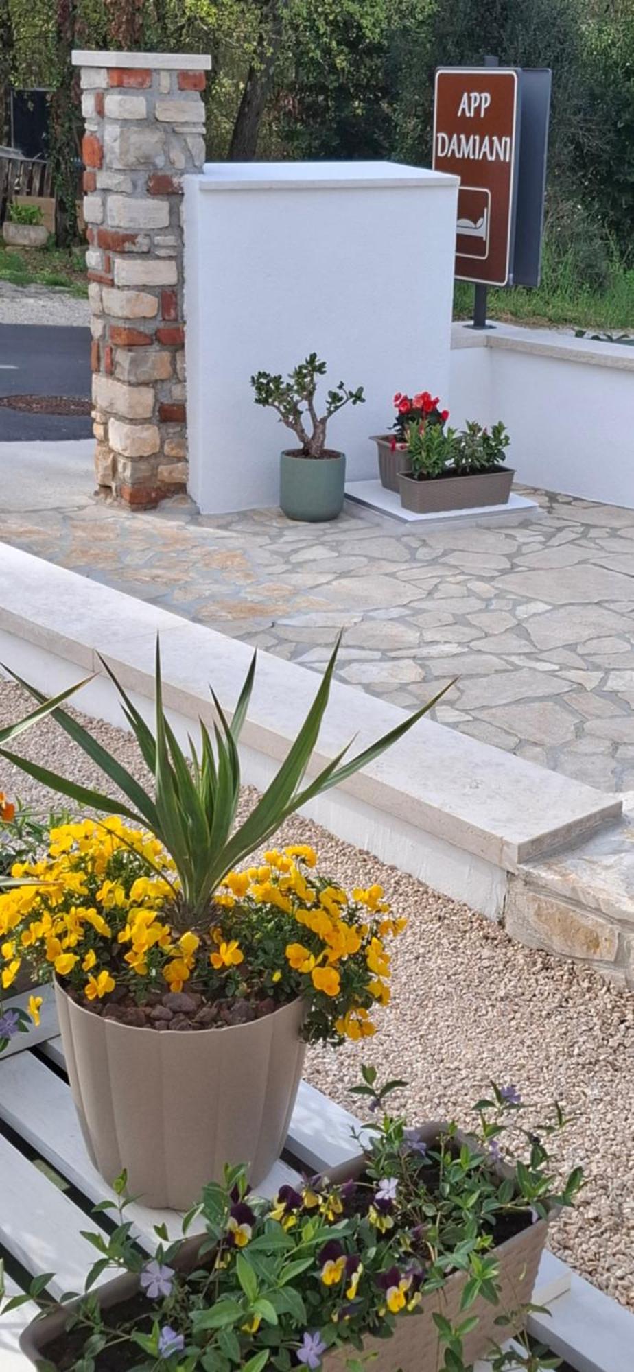 Apartment Damiani Umag Ngoại thất bức ảnh